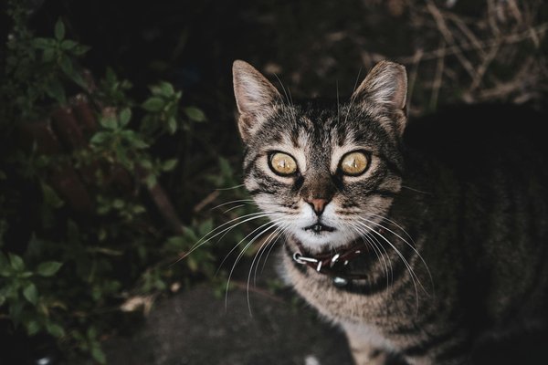 La Guía Suprema para Seleccionar el Color Ideal de Pintura en Ambientes Pequeños