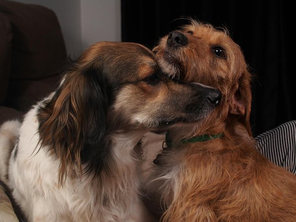 Saldo envejecido: estrategias para recuperar deudas efectivas